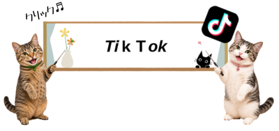 Tik Tok2